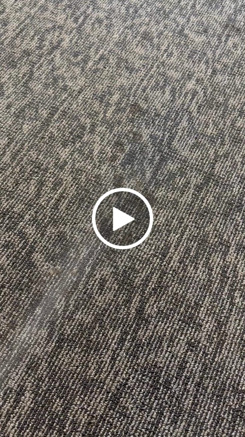 Customer video review of ~ Releasit Encap-Spot – Encapsulation Carpet Spot Remover and Odor Treatment (1 Quart) Encapsulation Carpet