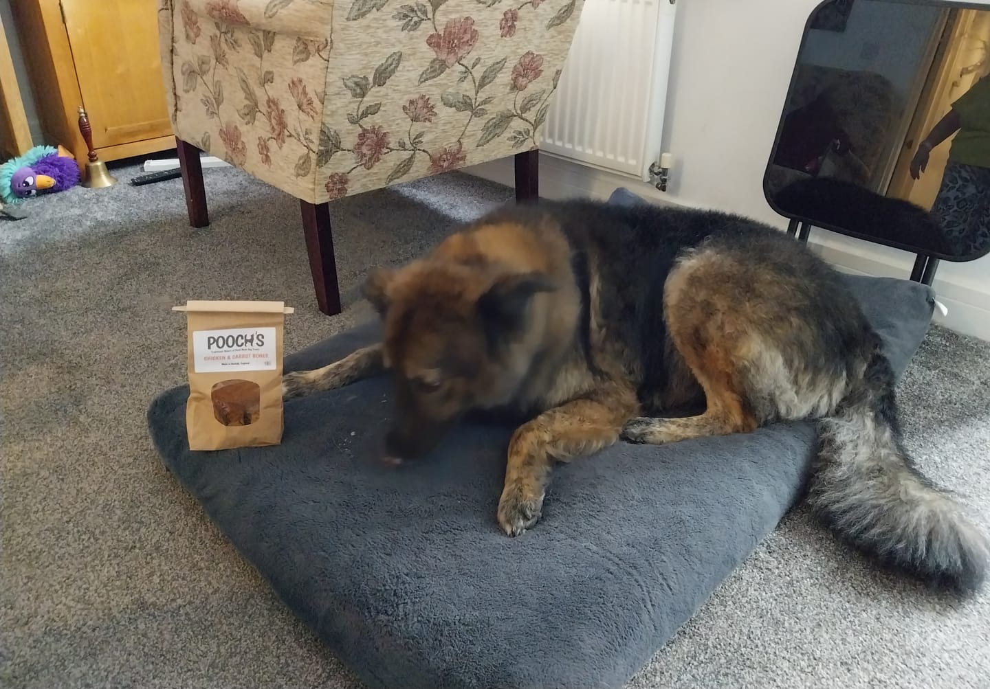 Customer photo review of Poochs Handmade Dog Treats