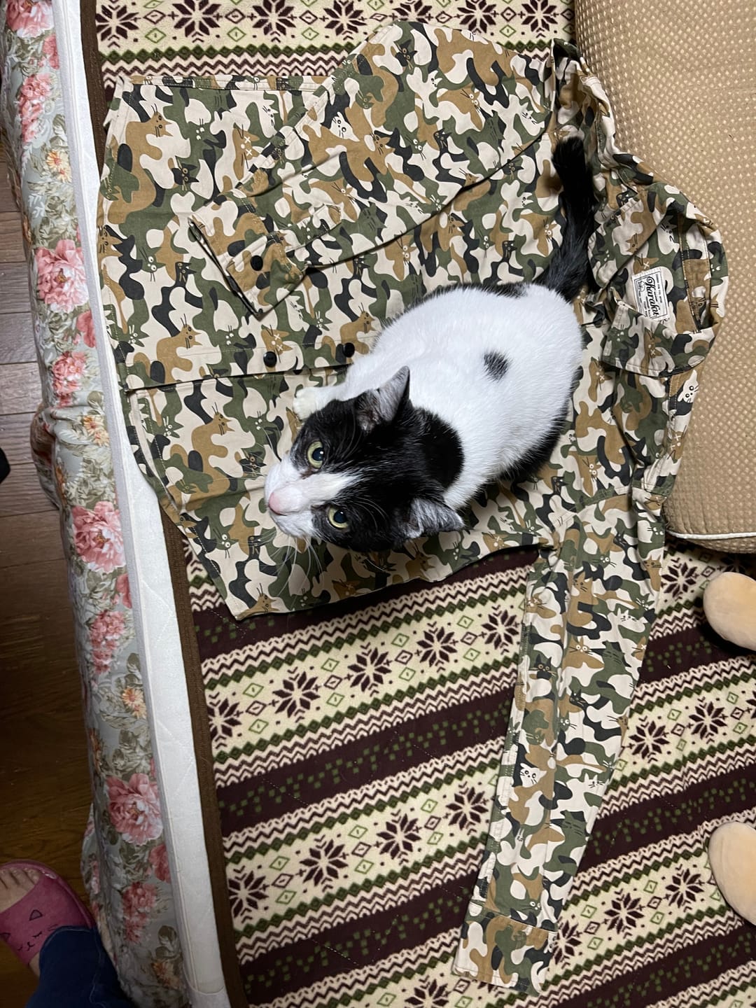 Customer photo review of Cat Camouflage Pattern Cotton Work Shirt