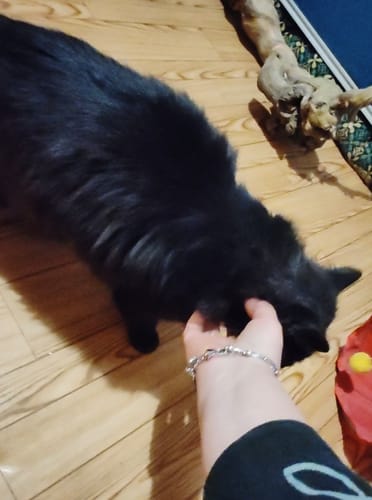 undefined review of Diffusore Calmante per Gatti image 1 out of 1