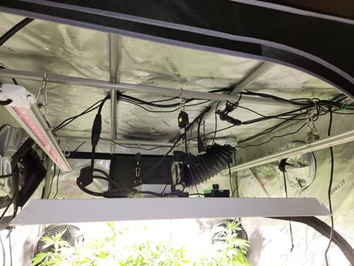 Customer photo review of FGI Far Red LED Grow Light. 700-760nm Spectrum. 4’ long. Premium Quality. W/ 8’ power cord.