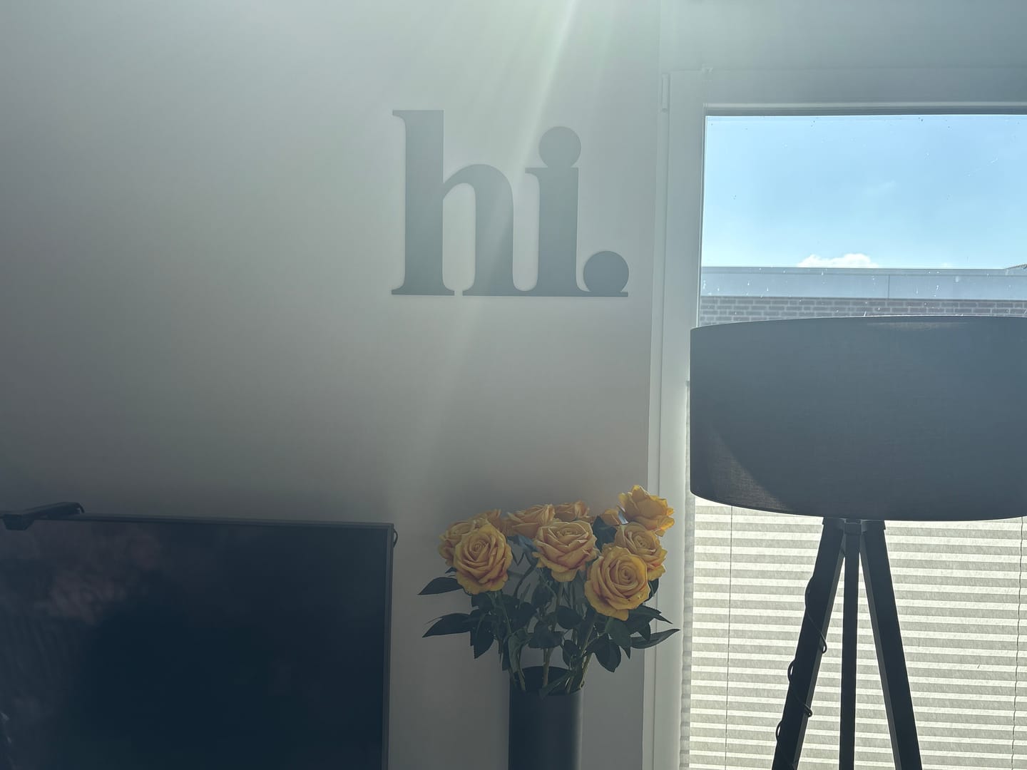 Customer photo review of 3D Schriftzug „hi"