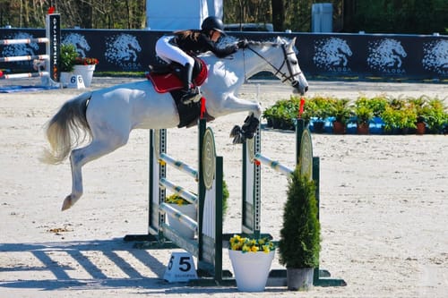 Customer photo review of PARIS - BREECHES | WHITE SILVER