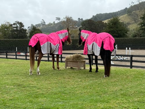 Customer photo review of WaterProof Mesh CrossOver Combo Pink