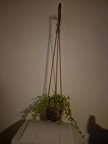 Customer photo review of Kunst Hangplantje Lichtgroen 25cm