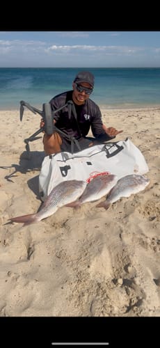 Customer photo review of Aeroo Pro Combo