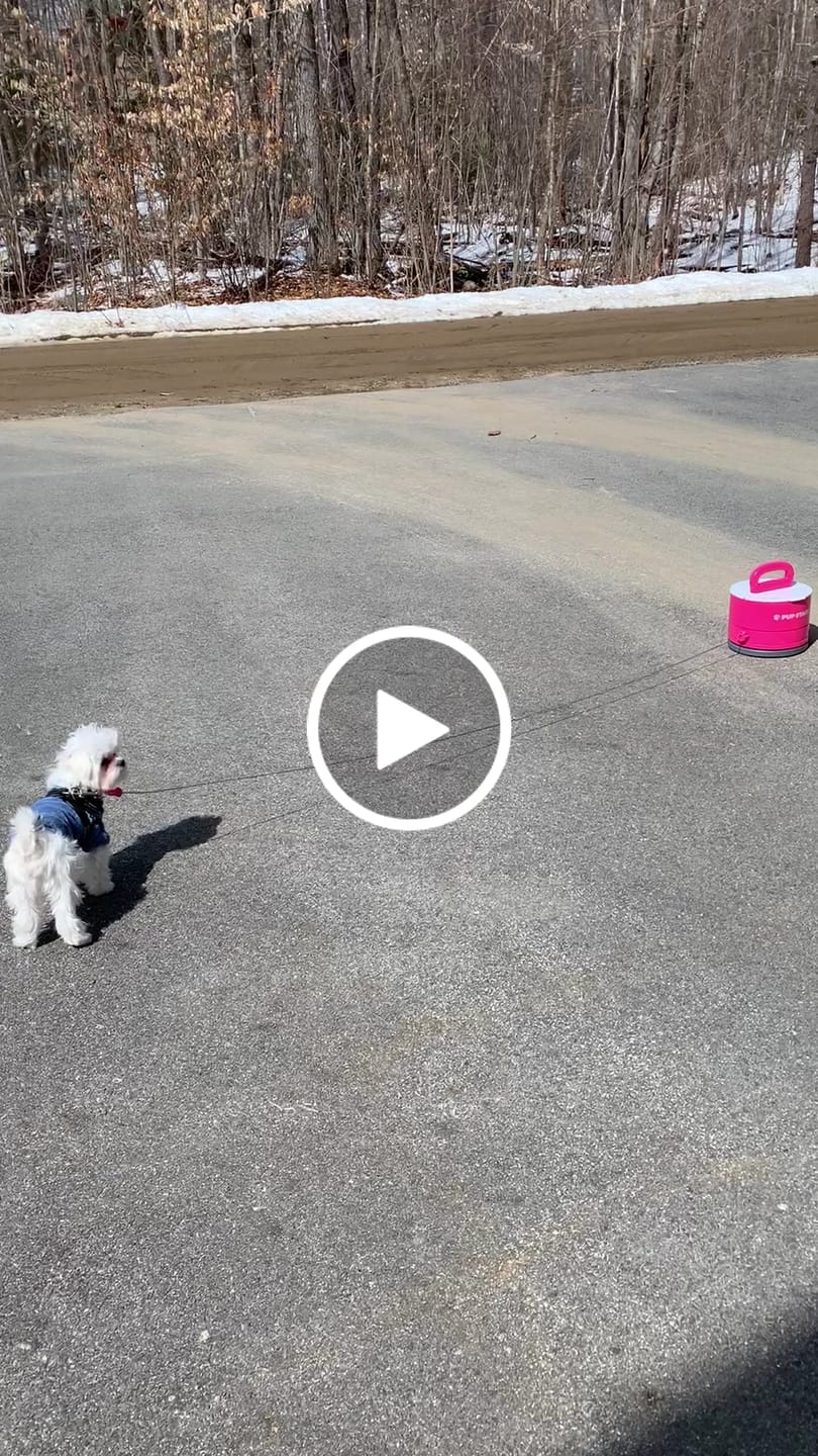 Customer video review of Pup Stack