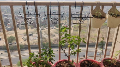 Customer photo review of Metal Railing Pot Stand & Decorative Pots Holder