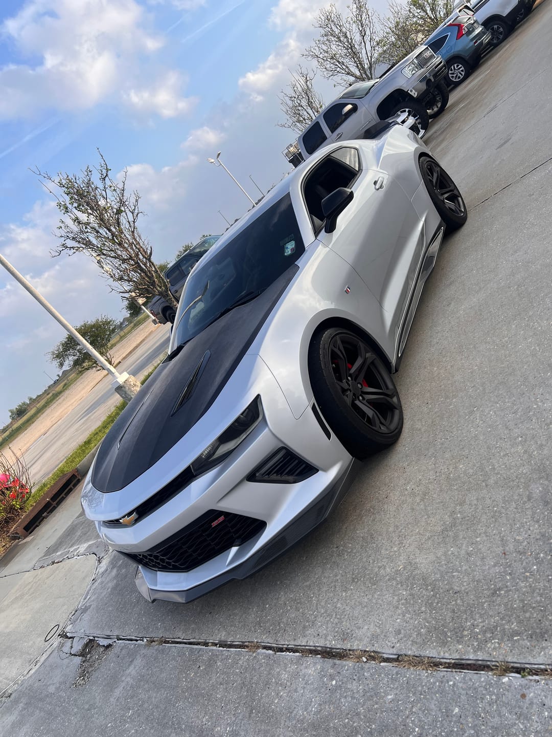 Customer photo review of 6th Gen Camaro ZL1 Conversion Side Skirts