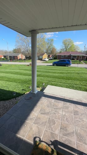 Customer photo review of GCI Turf Type Tall fescue Grass Seed