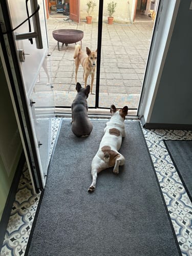 Customer photo review of Nature Protect