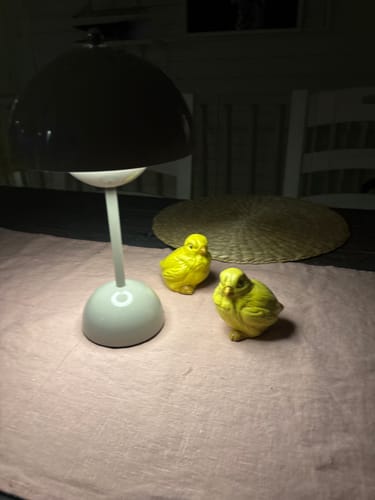 Customer photo review of Bordslampa - Svamplampa Flowerbud - Batteridriven 5000 mAH