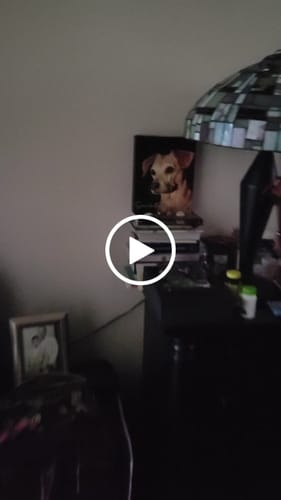 Customer video review of Pet Art Canvas Wrap