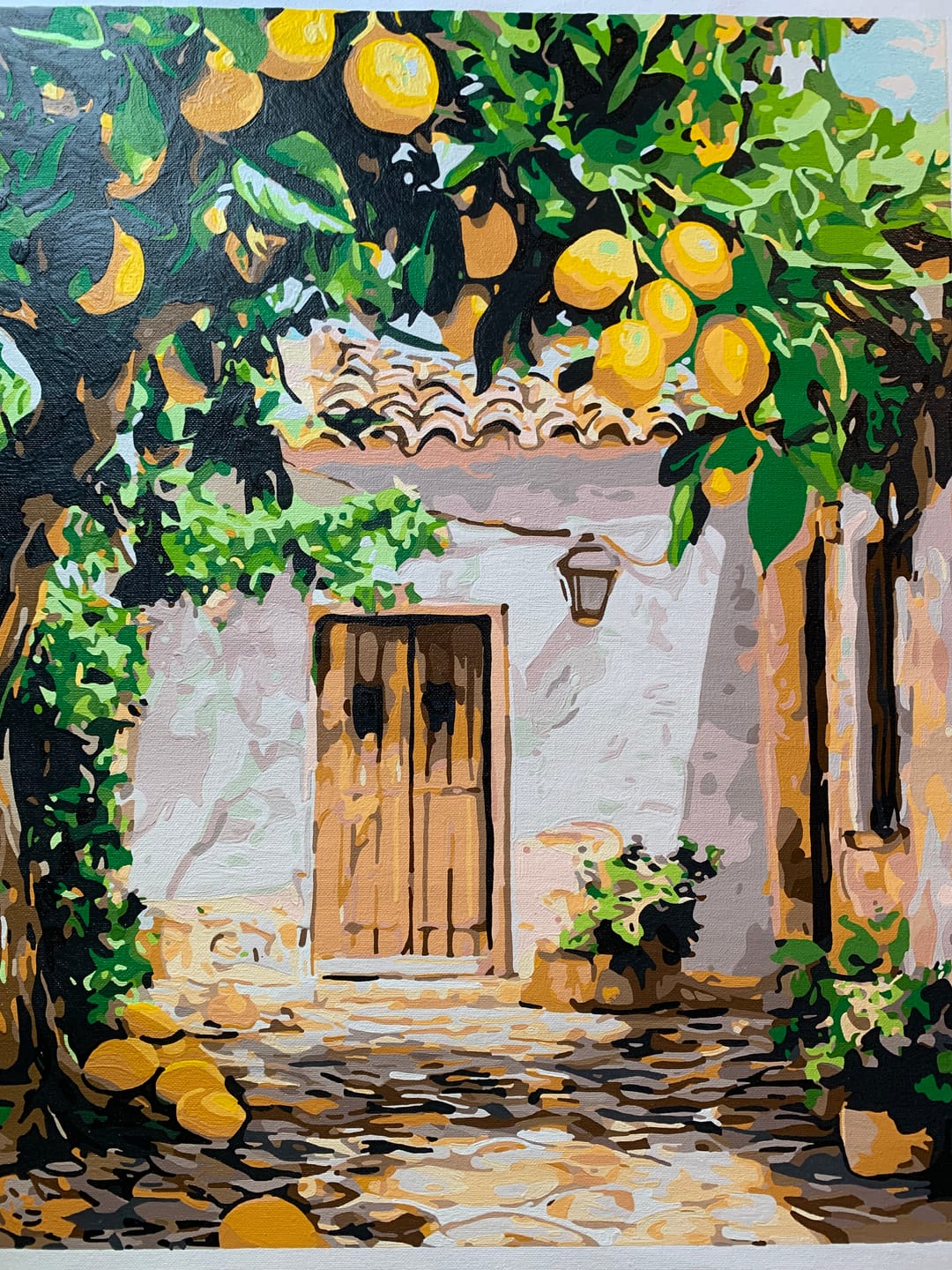 Customer photo review of Lemon Yard