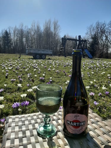 Customer photo review of Rabarberu dzirkstvīns