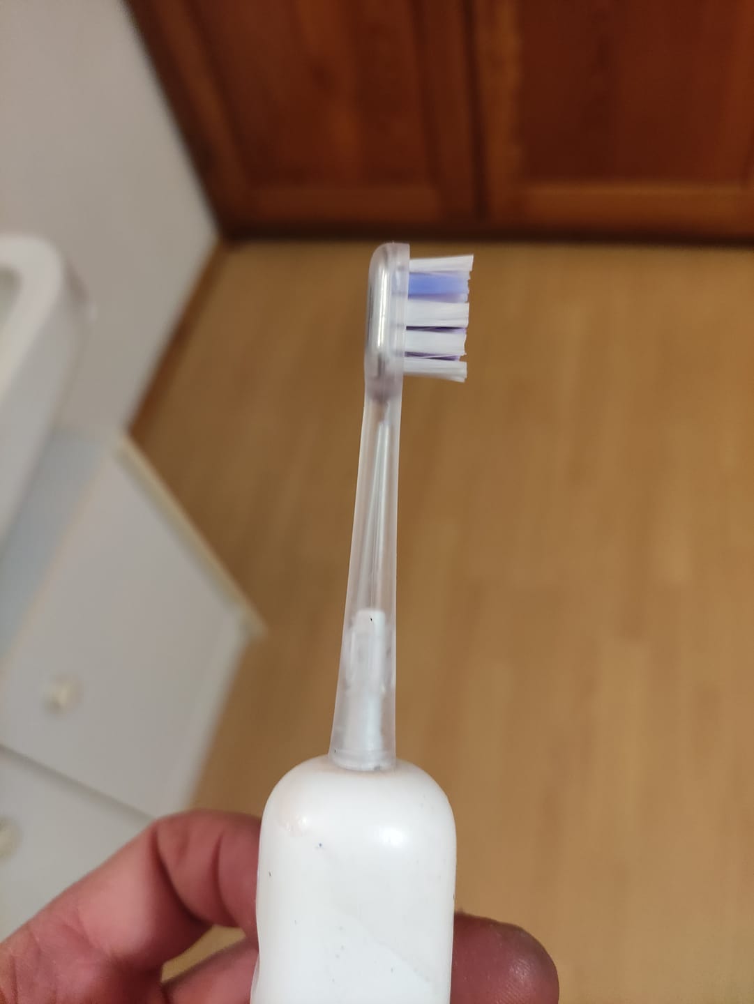 Customer photo review of Laifen Wave Toothbrush Heads