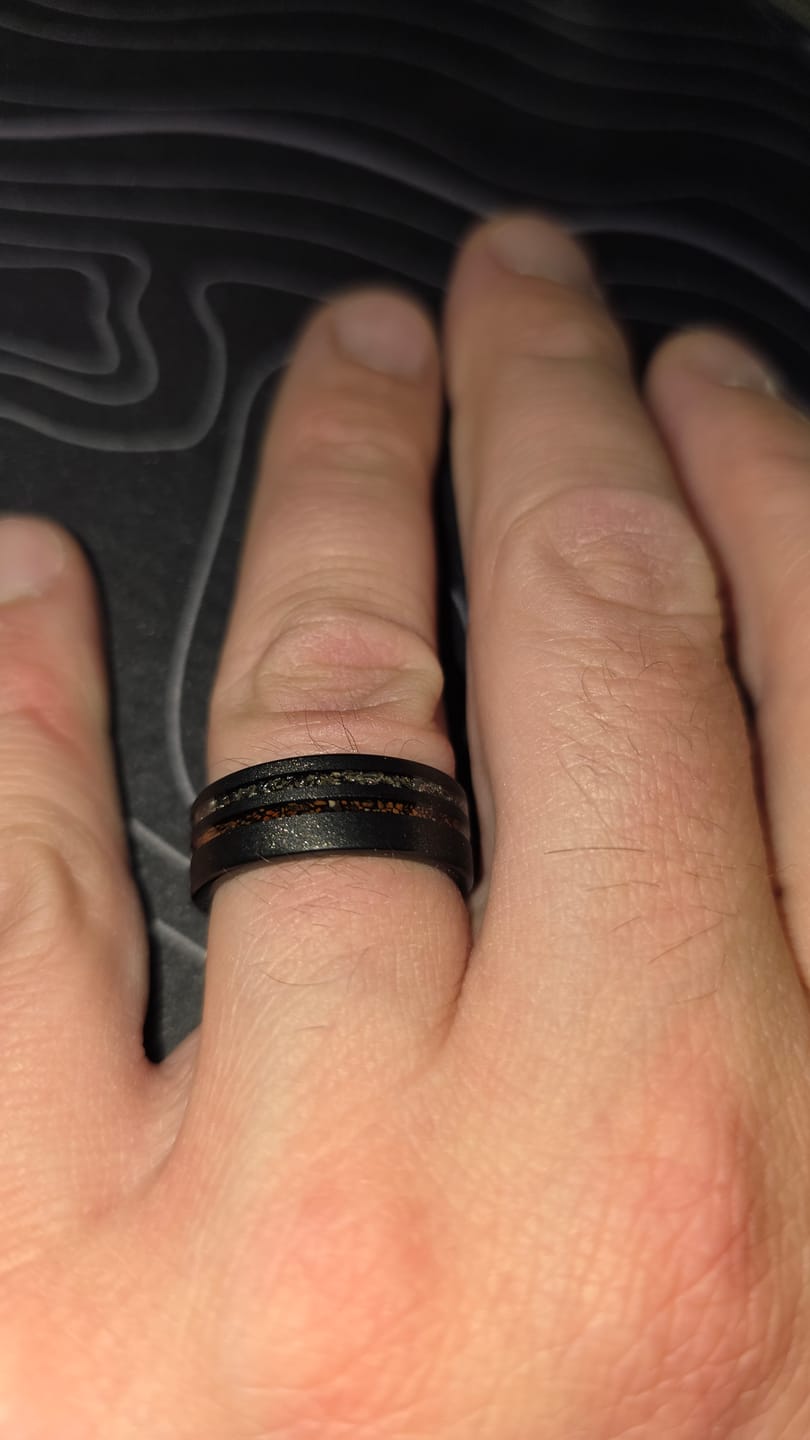 Customer photo review of The Meteorsaur