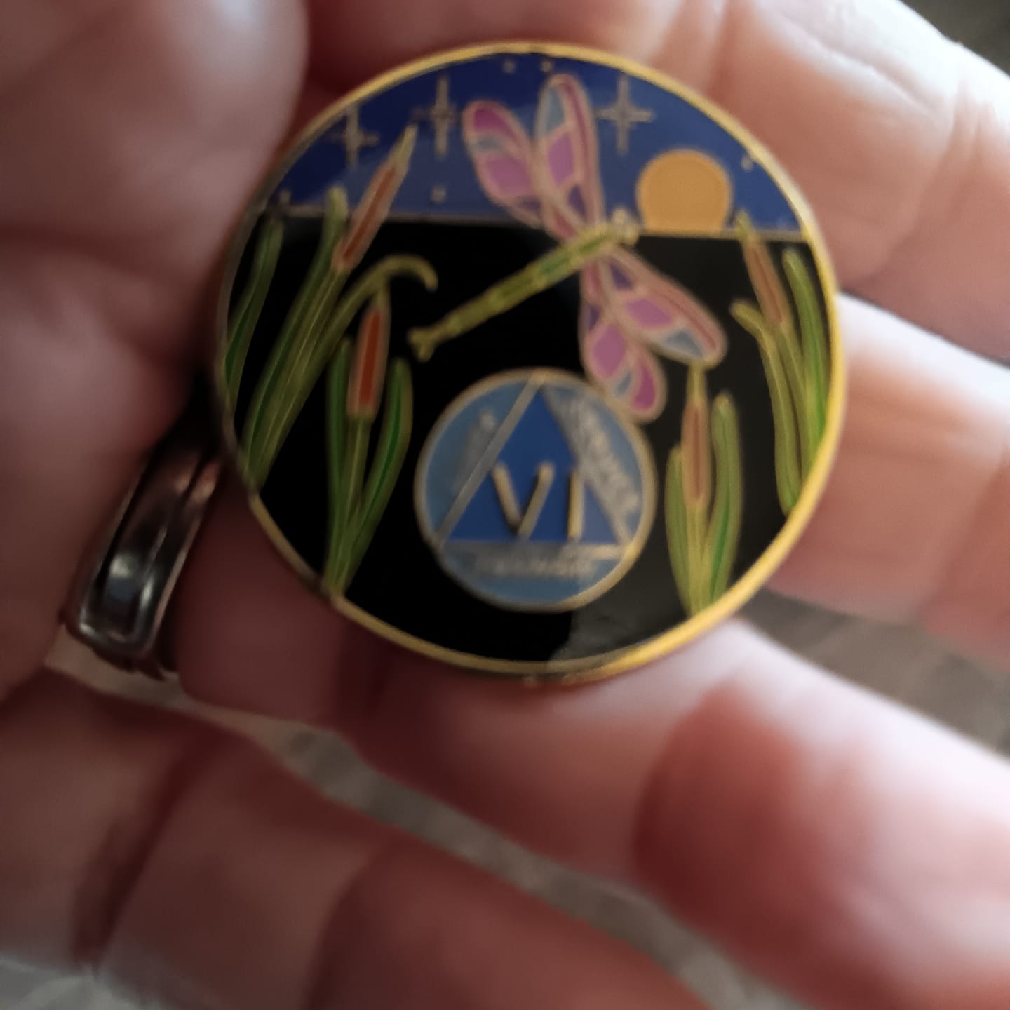 Customer photo review of 6 Year Sobriety Mint Winding River Gold Plated AA Recovery Medallion - Six Year Chip/Coin