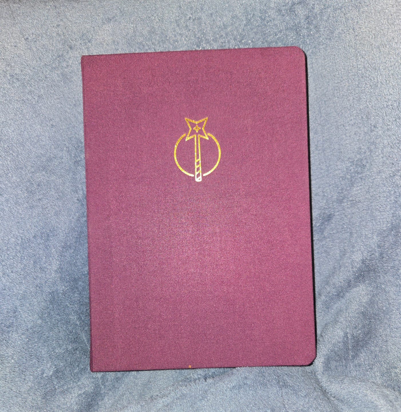 Customer photo review of Istoria Magic Academy