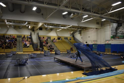 Customer photo review of Navy Blue Mirror Crystal Organza Fabric