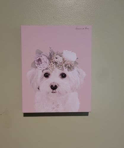 Customer photo review of Full Bloom Pet Portrait - Custom Canvas