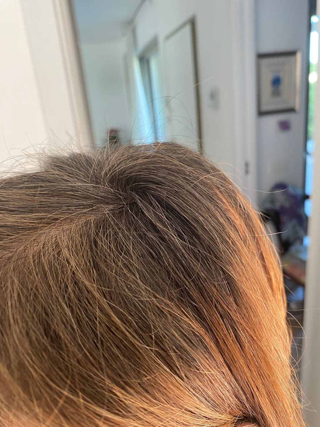 Customer photo review of GR-7 PRO