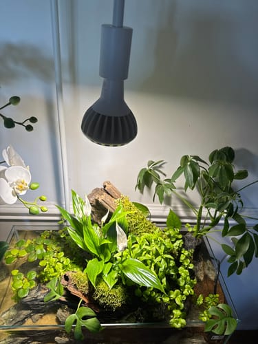 Customer photo review of Pianta Grow Light and Adjustable Floor Lamp Bundle