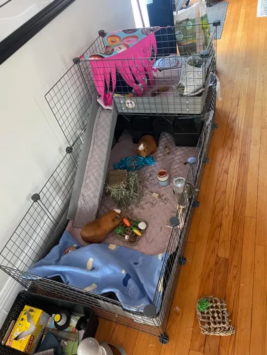 Customer photo review of Ramp Liner