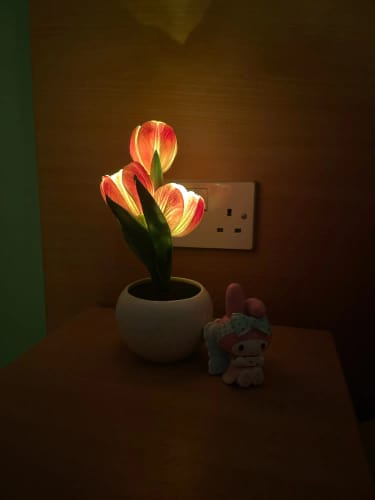 Customer photo review of Tulip Flower LED Night Light - Perfect Gift for Kids and Girls