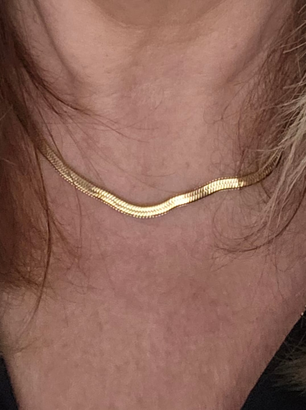 Customer photo review of Essentials Snake Chain Necklace