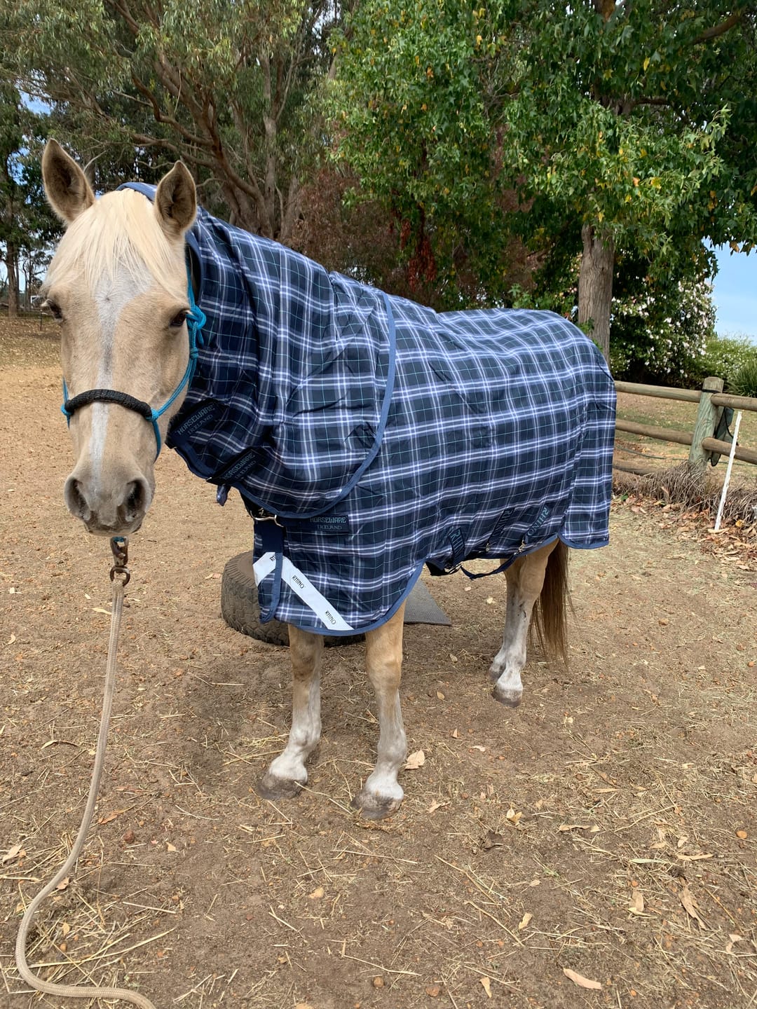 Customer photo review of Rhino Plus Turnout 0g