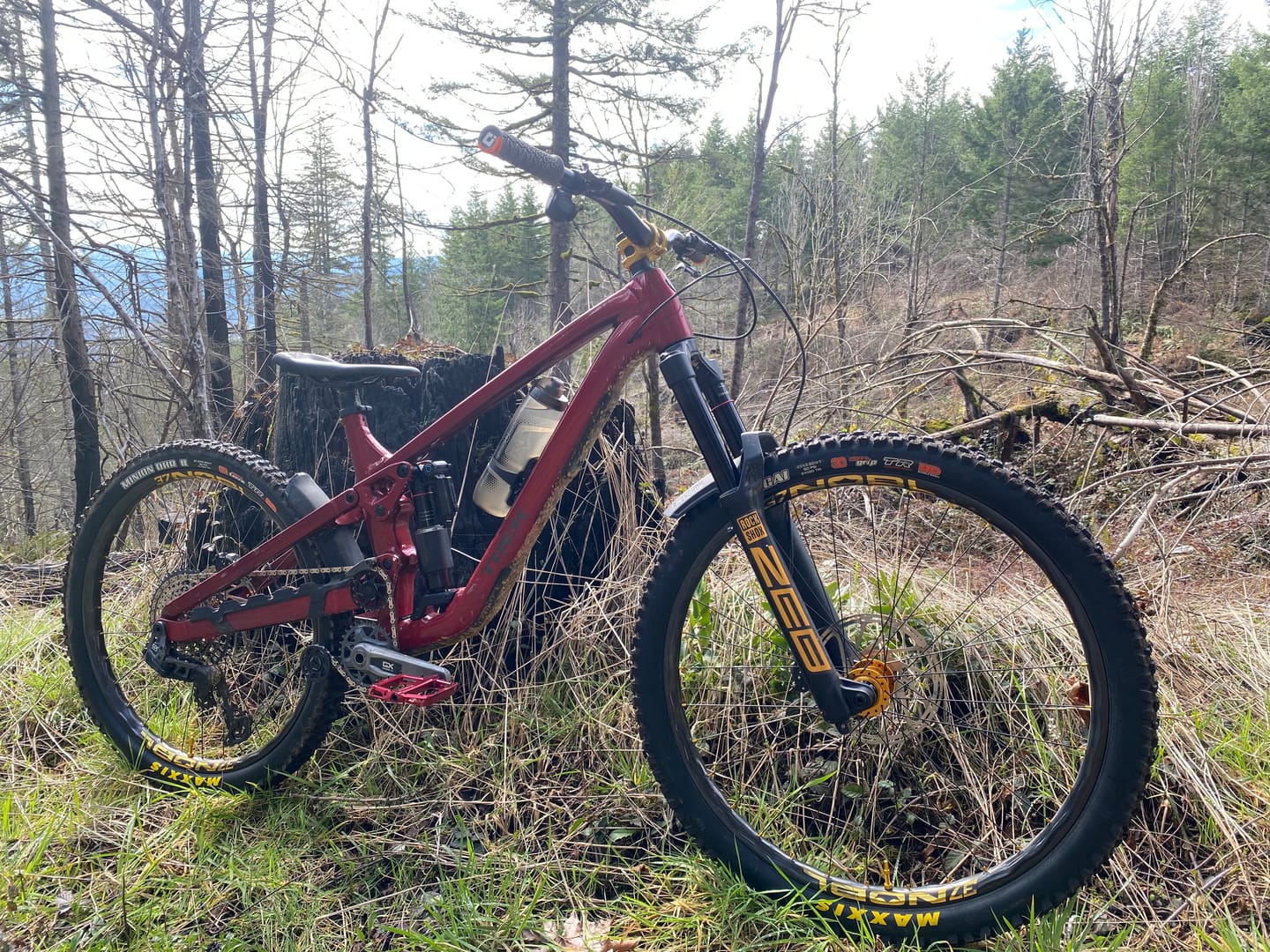 Customer photo review of Custom 2023 RockShox Vivid  Decal