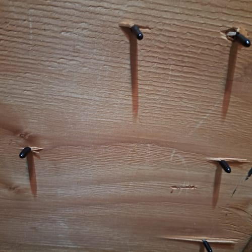 Customer photo review of #6 Screw Thread Protectors - Black