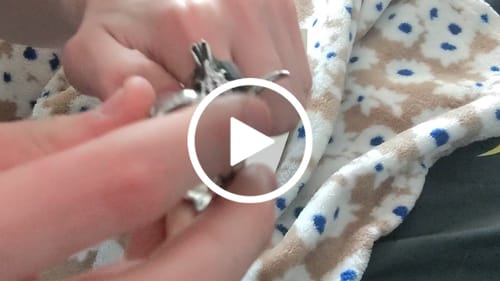 Customer video review of Longhorn Skull Ring