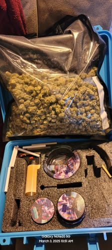 Customer photo review of Bulk Mixlight Smalls