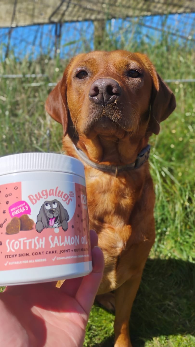 Customer photo review of Scottish Salmon Oil Supplement Chews for Dogs