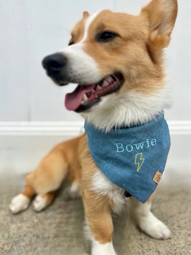 Customer photo review of Custom Embroidered Bandana