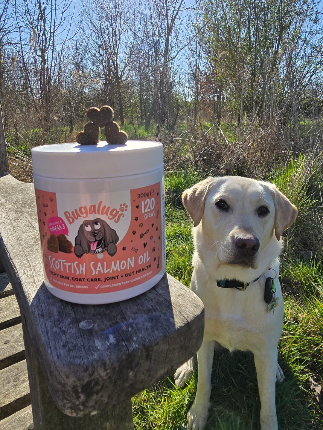 Customer photo review of Scottish Salmon Oil Supplement Chews for Dogs