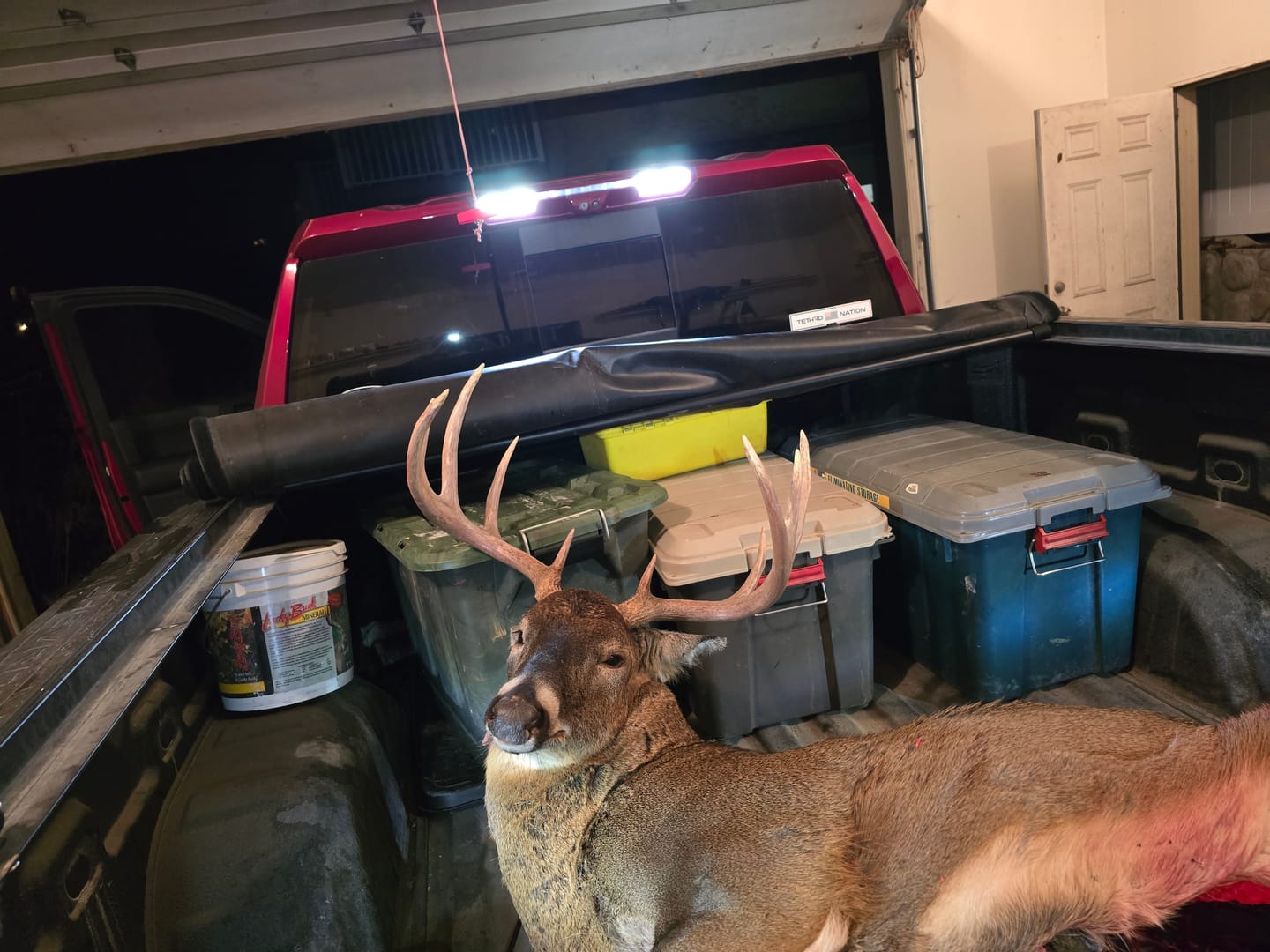 Customer photo review of Beast Broadheads - TRUMP Edition