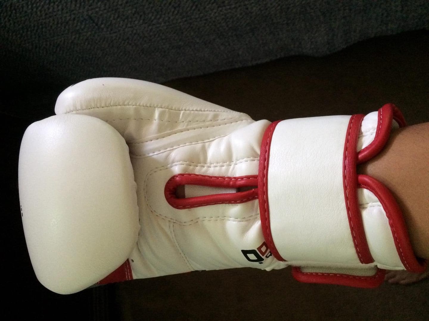 Customer photo review of Guantes de Boxeo Ego F7