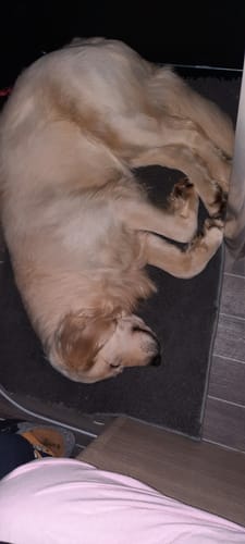 Customer photo review of Premium - CleanyMat