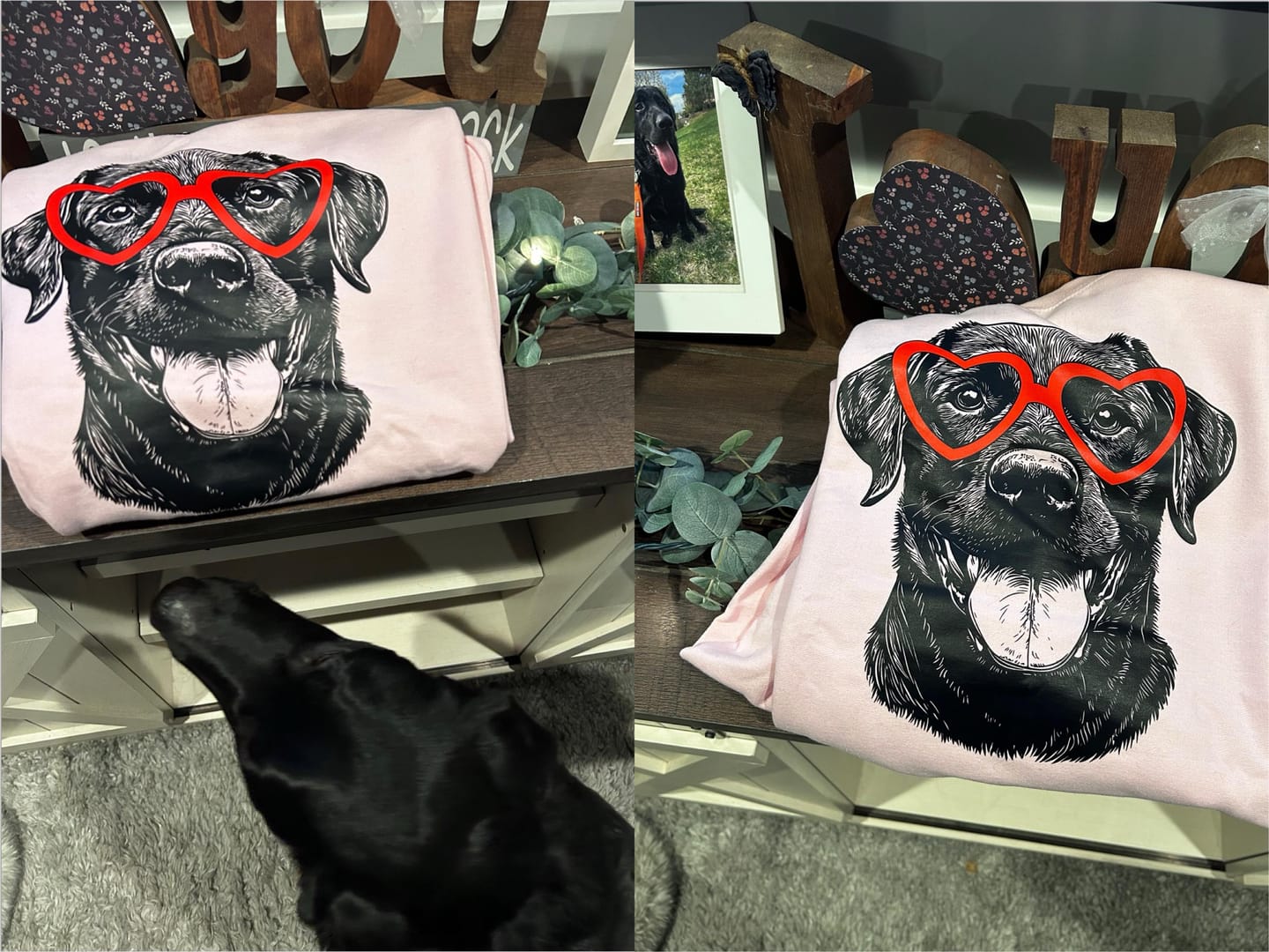 Customer photo review of Black Lab, Labrador, Pet, Dog Breed, Valentine's Sweatshirt