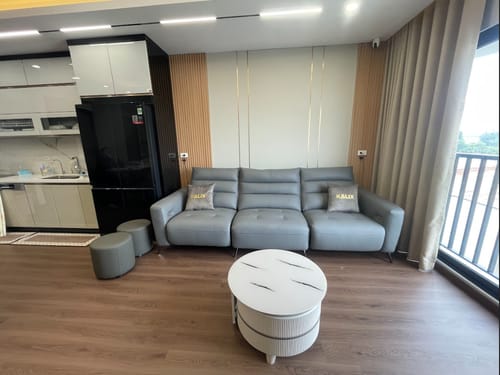 Customer photo review of Sofa văng da động cơ - IMOLA