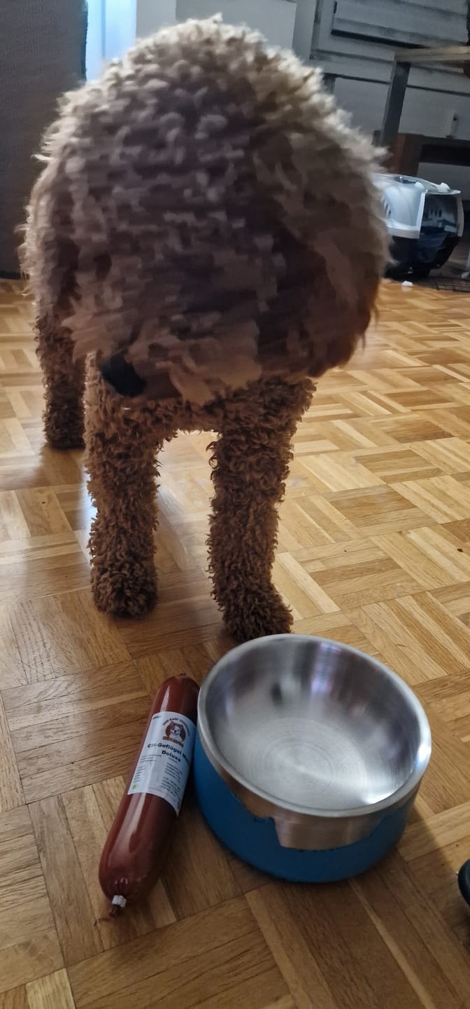 Customer photo review of Nutridog Menu Deluxe Poulet pro Wurst 250g ab 4.40.-