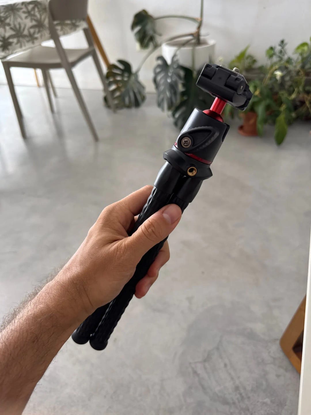Customer photo review of Flexibles Octopus-Stativ – Vielseitig für Kamera & Smartphone