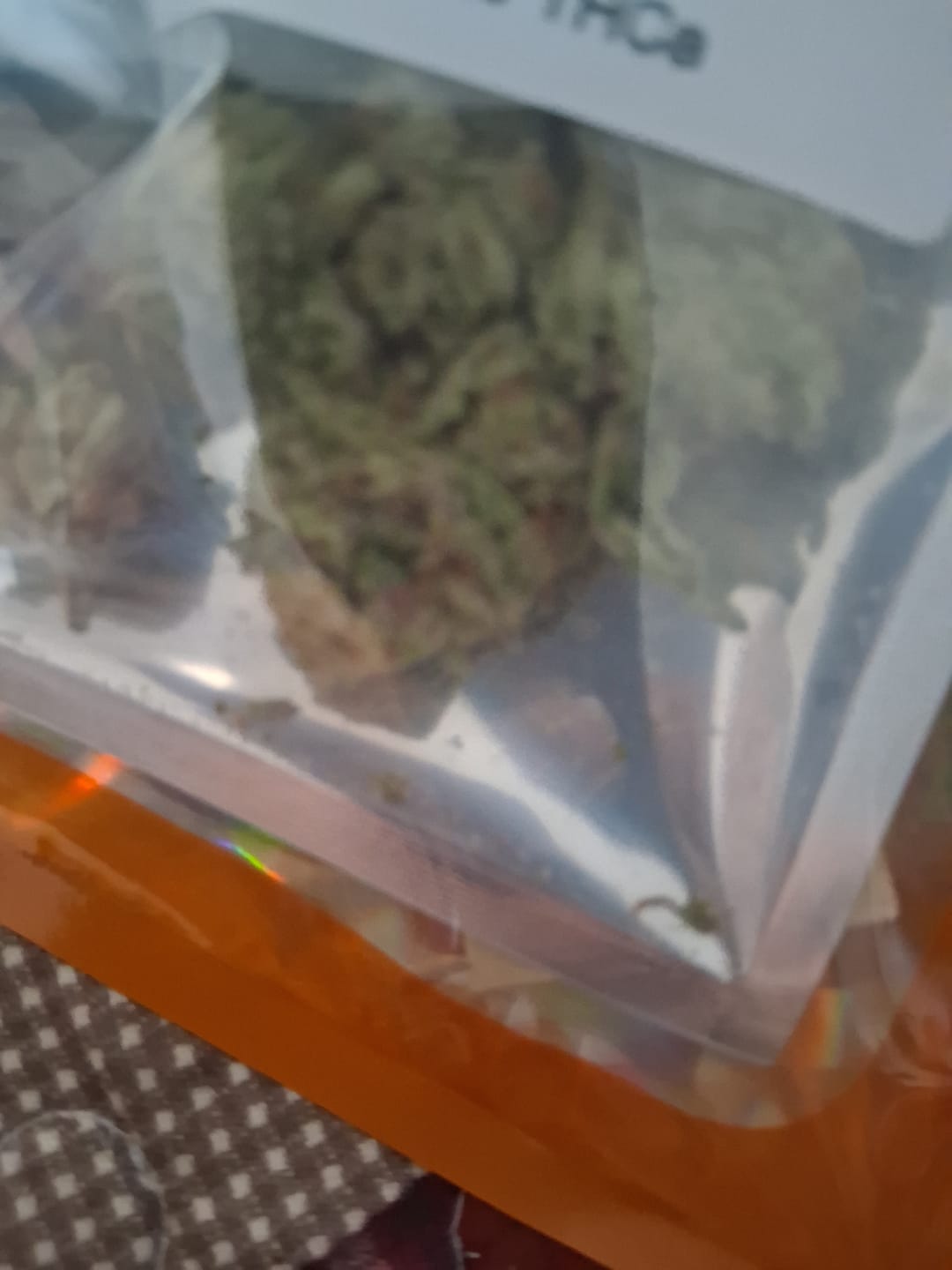 Customer photo review of Space Junkie