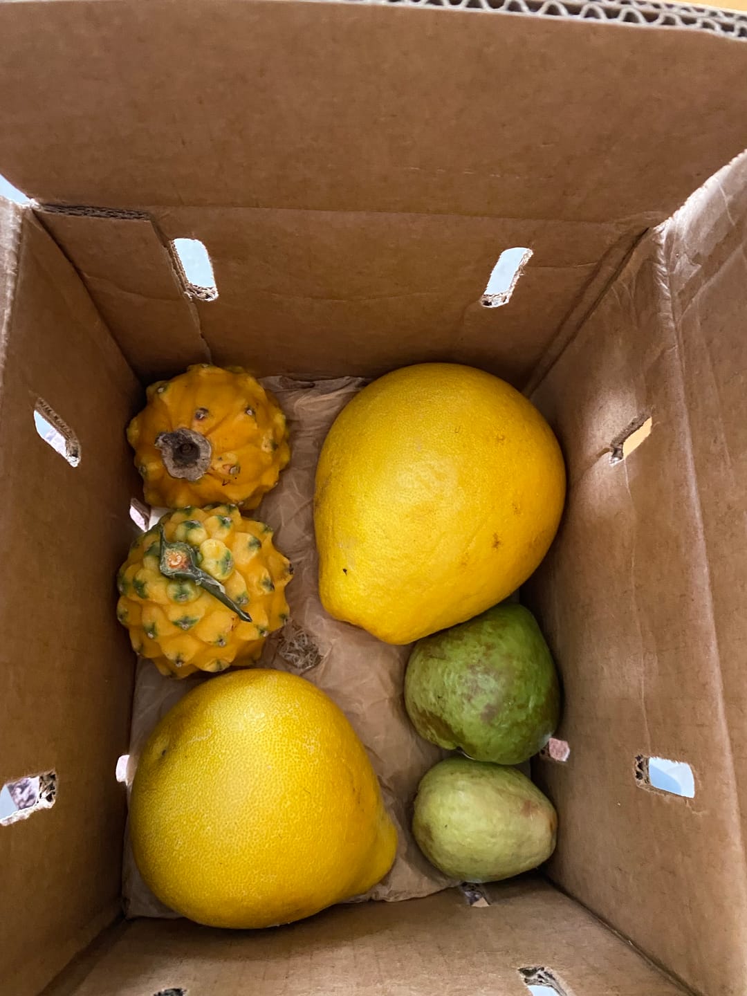 Customer photo review of Build Your Own Tropical Fruit Box