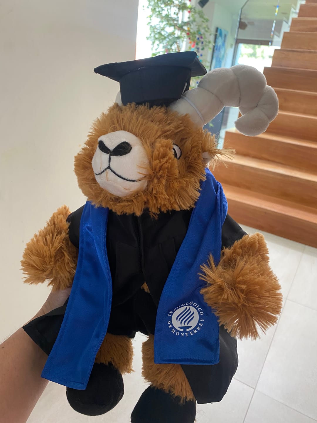 Customer photo review of TEUS Graduado