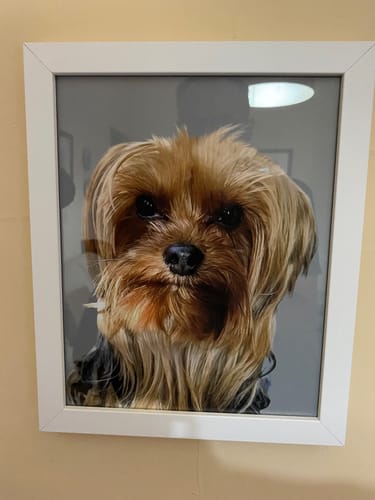 Customer photo review of Classic - Custom Pet Portrait