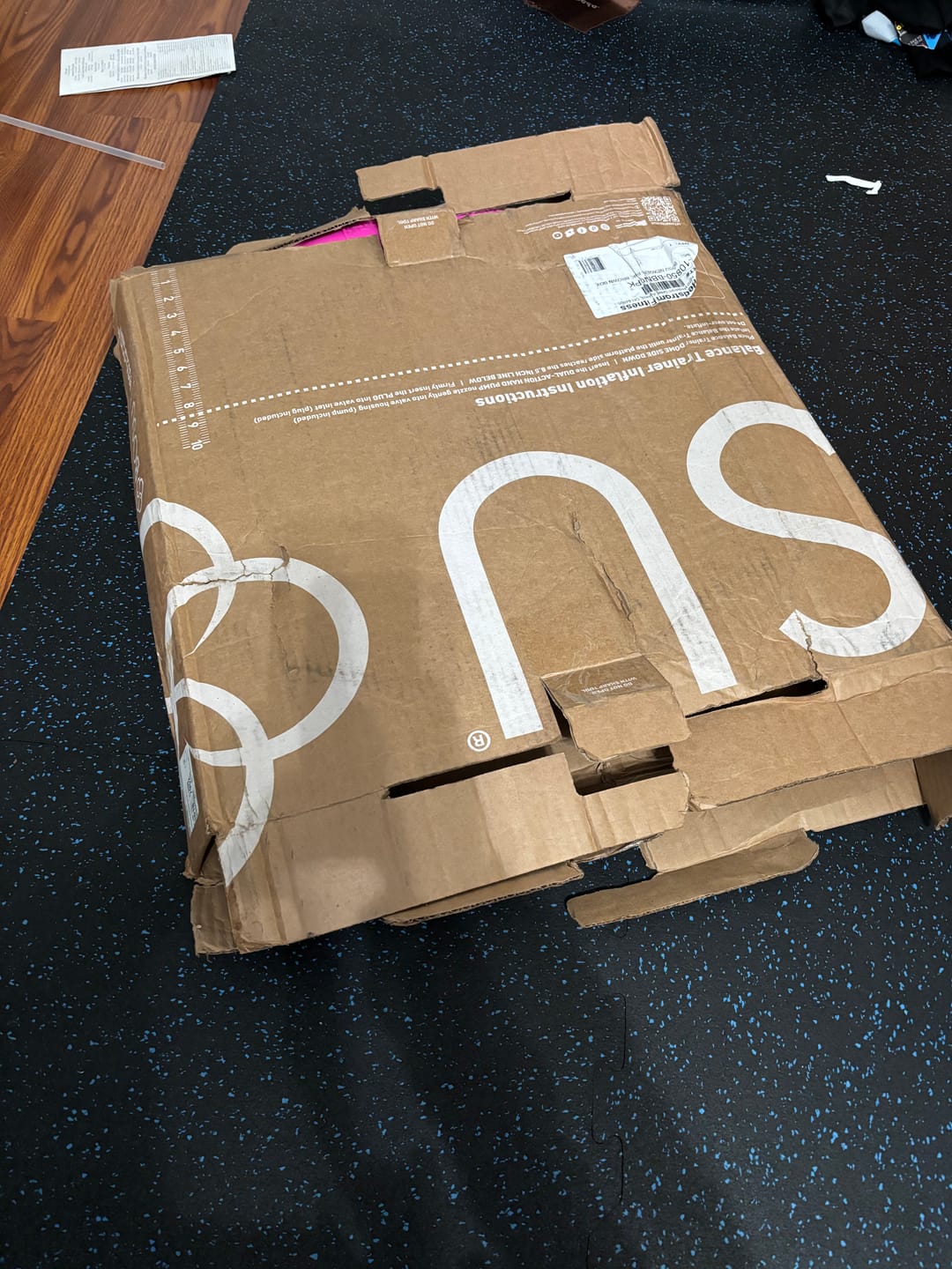 Customer photo review of NEXGEN™ HOME Balance Trainer